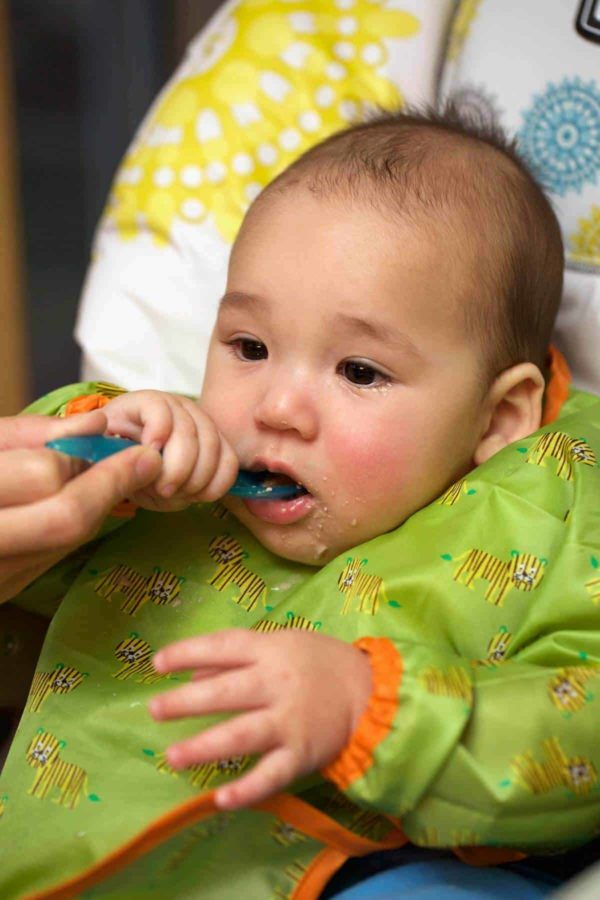 宝贝詹姆斯试图吃他的第一个固顿饭