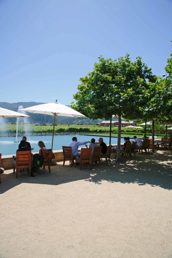 outside at alpha omega winery