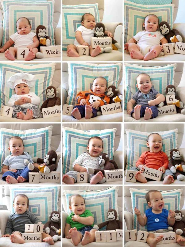 汇编詹姆斯每月的增长进度