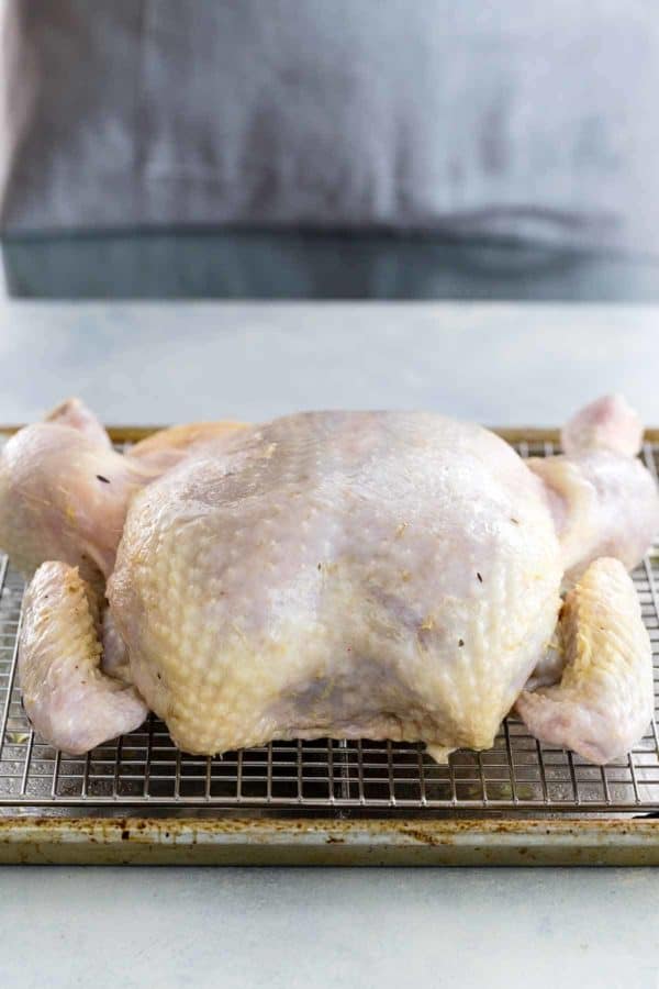 斯帕奇科克鸡放在铁丝架上