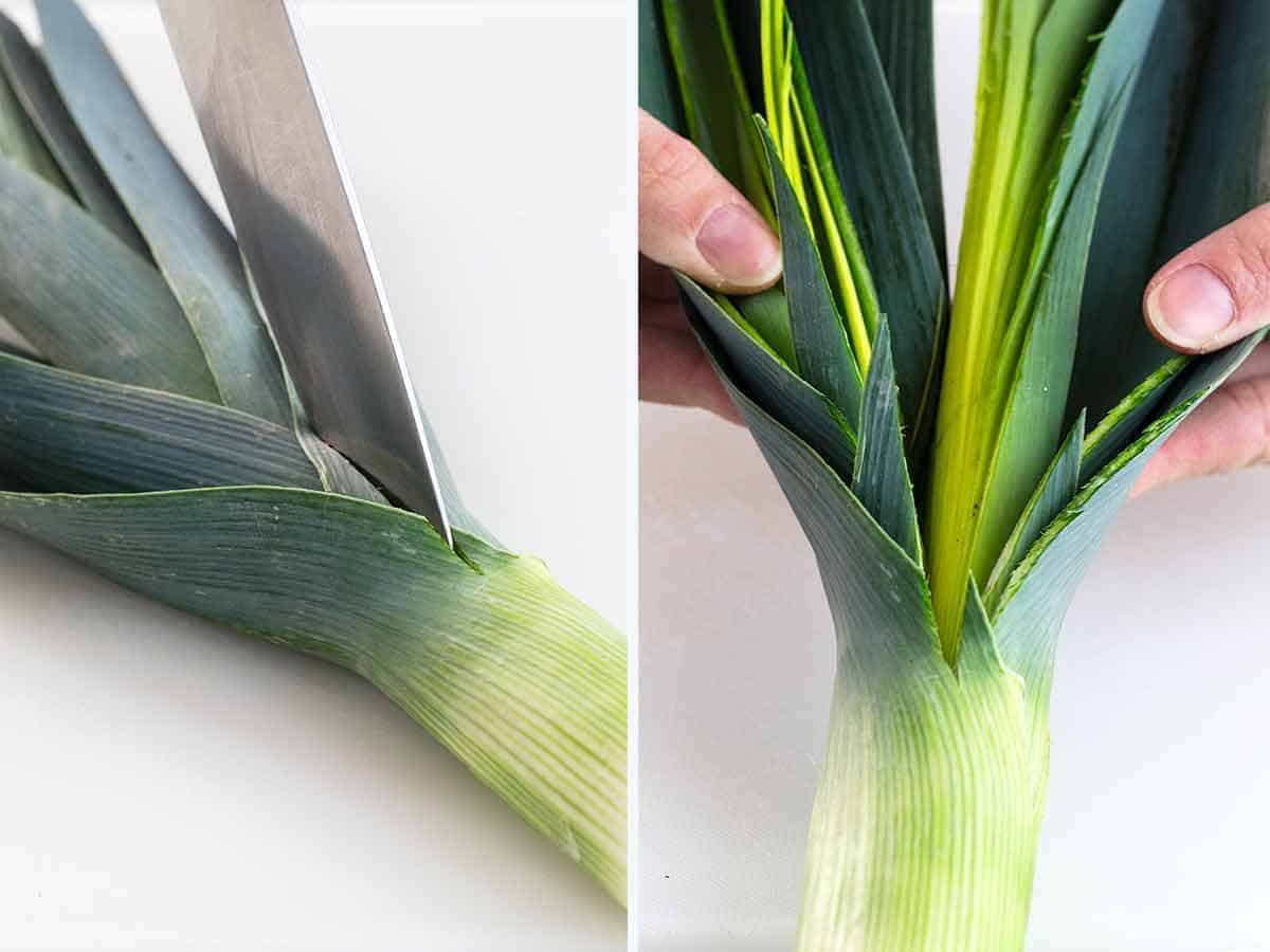 在韭菜的顶部传播深绿色的叶子