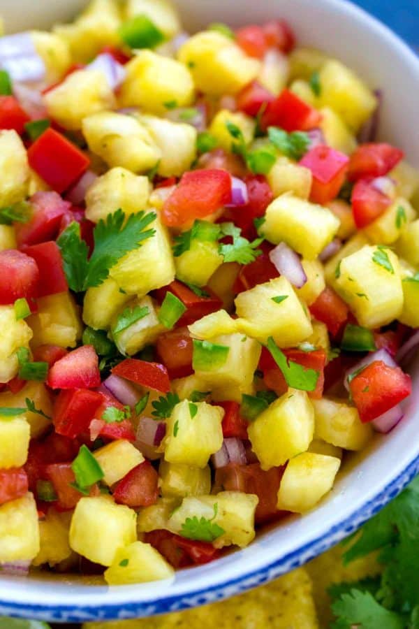 蕃茄,葱和切成小块菠萝块的特写镜头照片salsa的