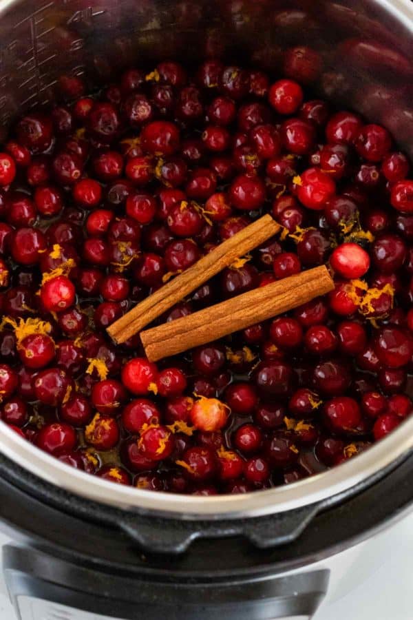 两个整个肉桂棒在牛仔植物的顶部在一架即时锅中