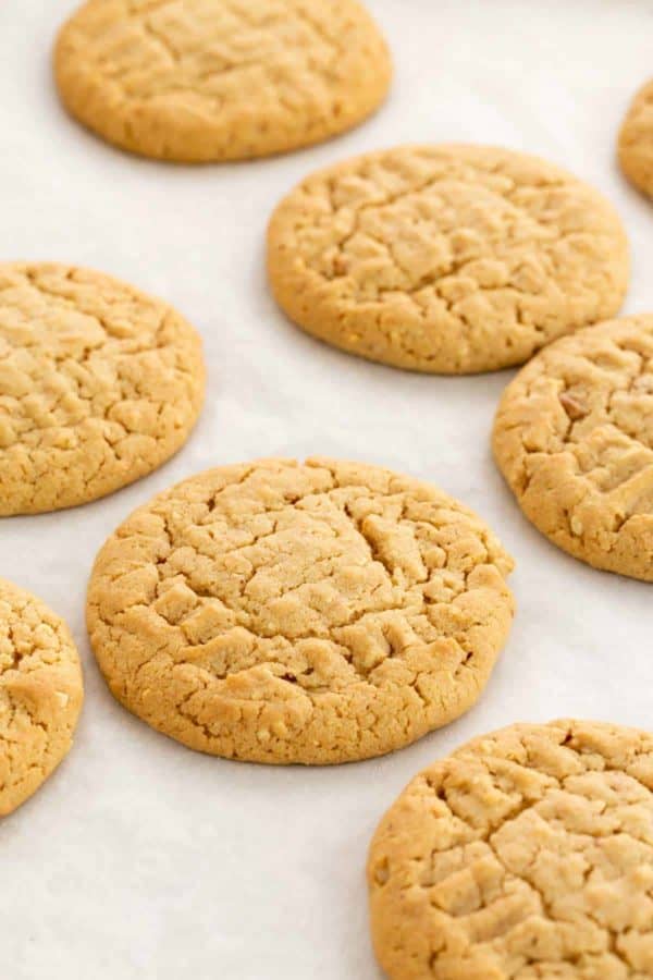 烤花生酱饼干散布在羊皮纸