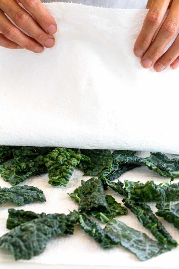 干燥羽衣甘蓝叶子用纸巾