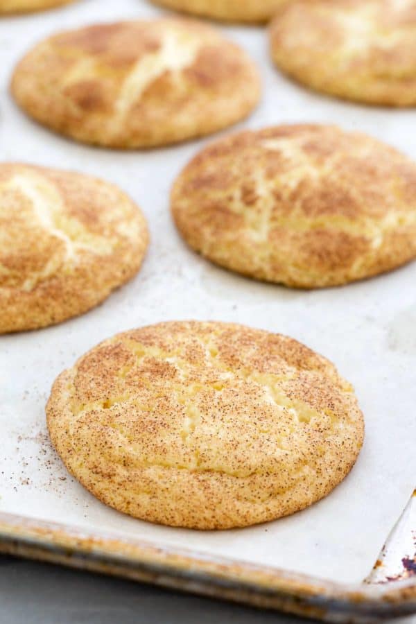 在纸板锅上的被烘烤的烟鹬曲奇饼