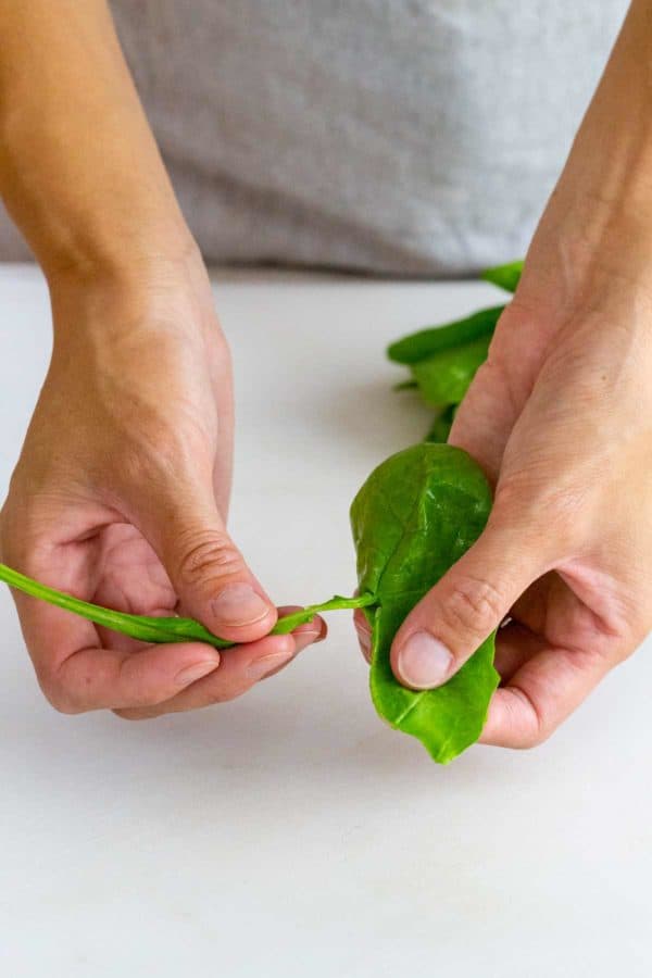 去除菠菜叶的茎