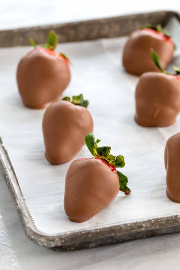 巧克力蘸草莓放在烤盘上冷却