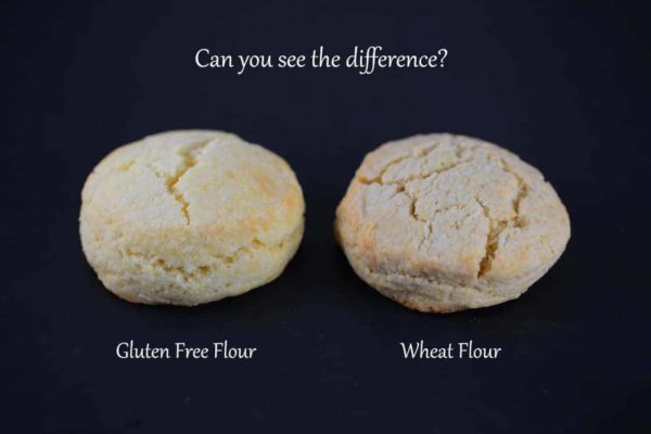 谷蛋白free flour alternatives comparison