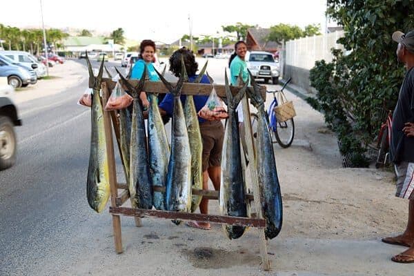 博拉博拉岛瓦伊塔普的渔夫在路边卖鲯鳅鱼。